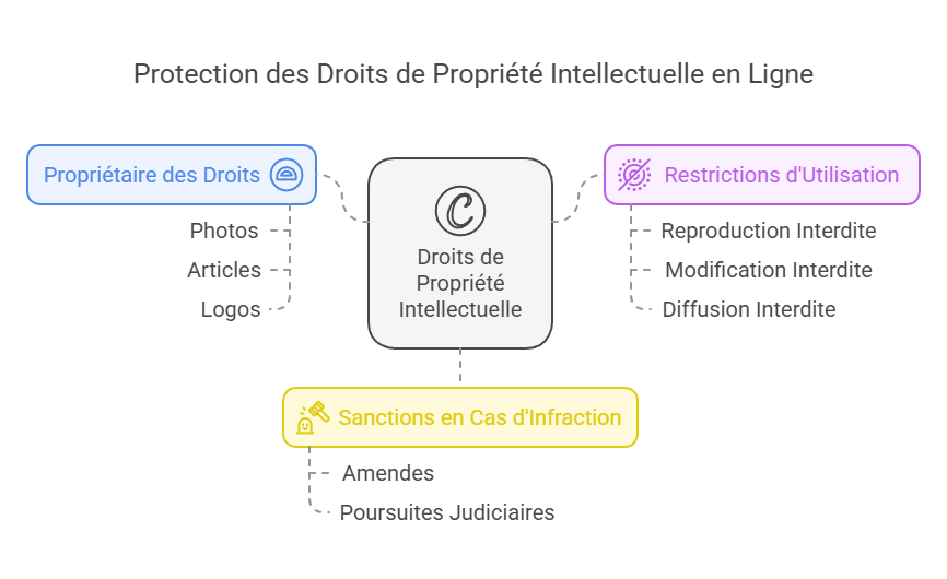 Infographie sur la protection des droits de propriété intellectuelle en ligne, incluant le propriétaire des droits, les restrictions d'utilisation et les sanctions en cas d’infraction.