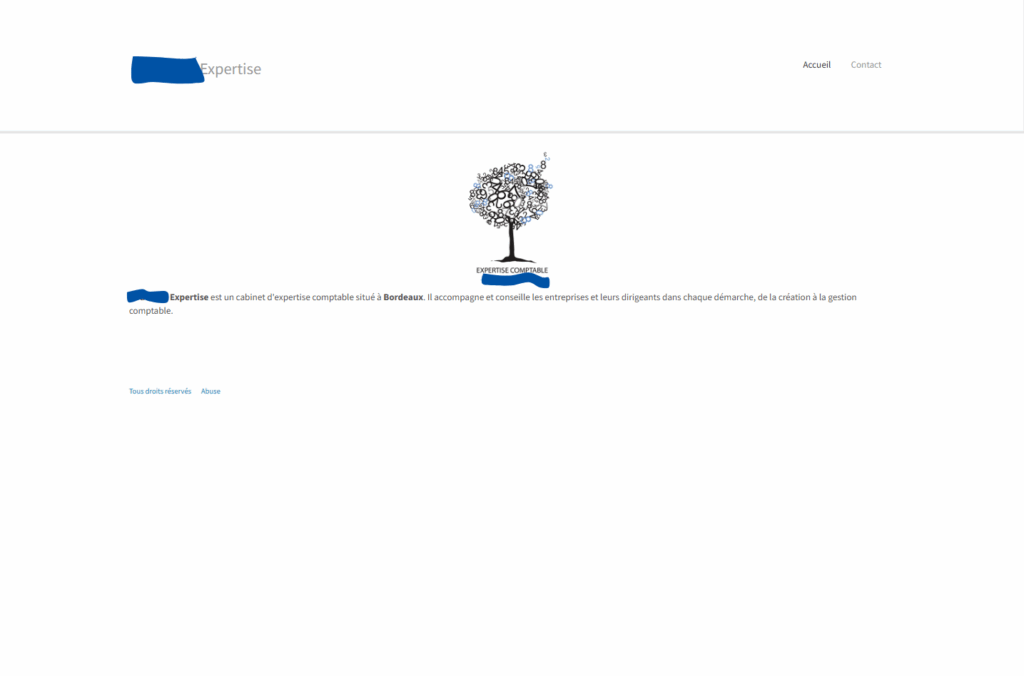 Capture d’écran d’un site web de cabinet comptable avec un contenu minimaliste et peu engageant. L’absence d’informations détaillées et d’éléments visuels diminue l’impact du message.