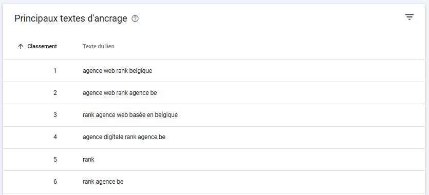 Capture d’écran Google Search Console montrant les principaux textes d’ancrage utilisés vers rank-agence.be.
